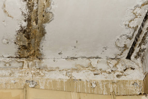 Best Asbestos and Lead Testing During Mold Inspection  in Center Point, IA