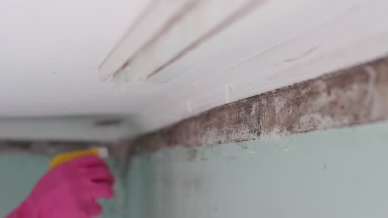 Best Dehumidification Services  in Center Point, IA